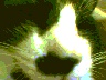 0013