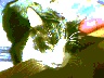 0020