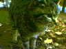0024